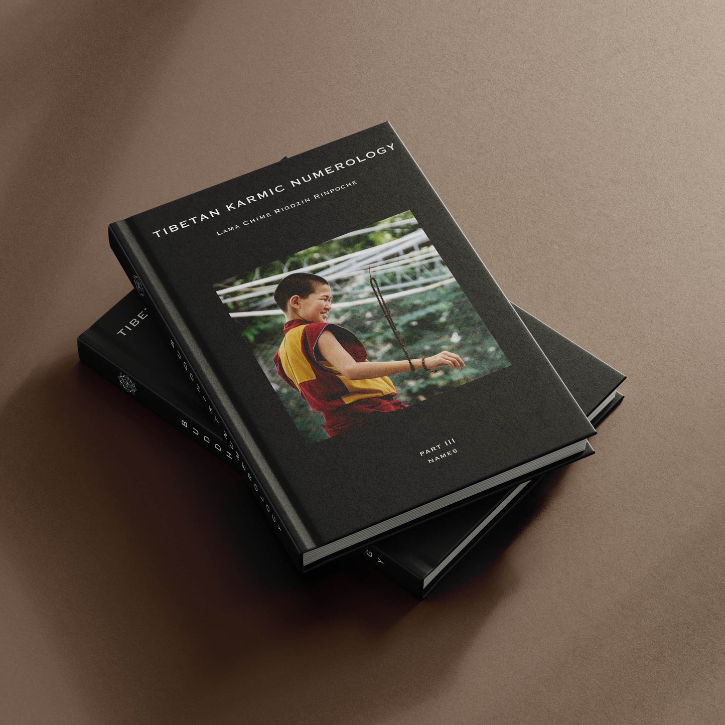 Buddhist Numerology guides by Lama Chime Rigdzin Rinpoche